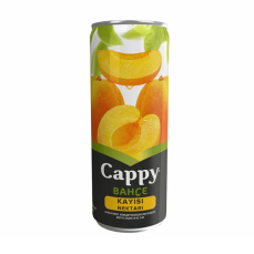 CAPPY KAYISI 330 ML 