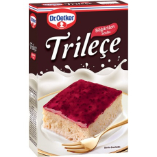 DR.OETKER TRİLECE KARAMEL 315 GR