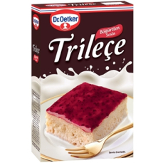 DR OETKER TRİLEÇE 315 GR