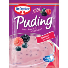 DR.OETKER ORMAN MEYVELİ PUDİNG 81GR